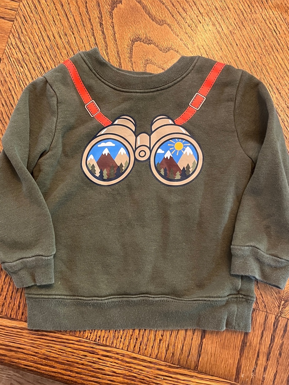Garanimals Olive Green Binoculars Pullover Crewneck Sweater Baby Boys 18M